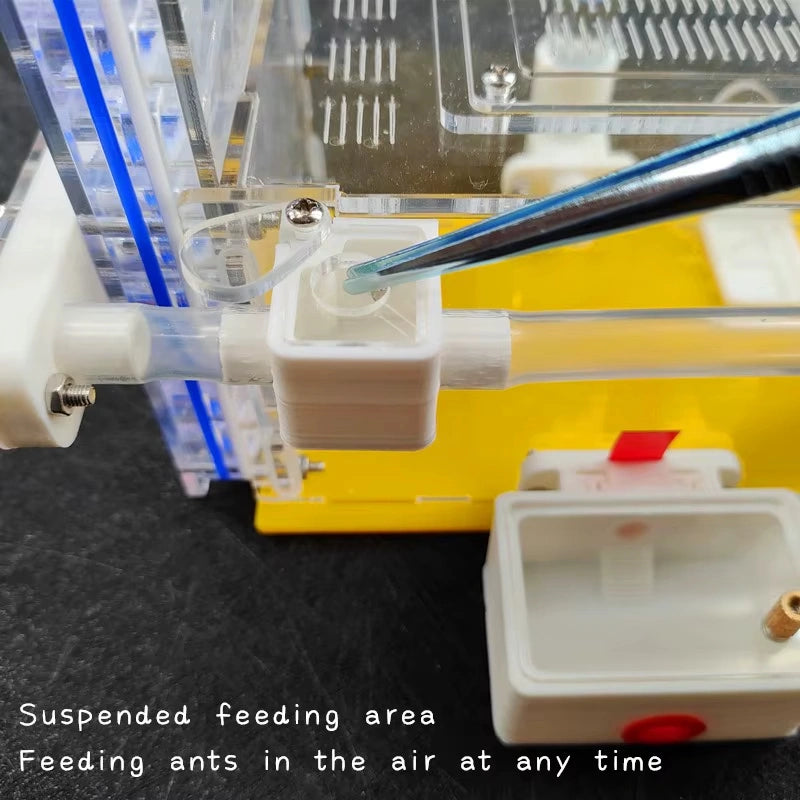 T-Shaped DIY Acrylic Ant Farm with Feeding Area