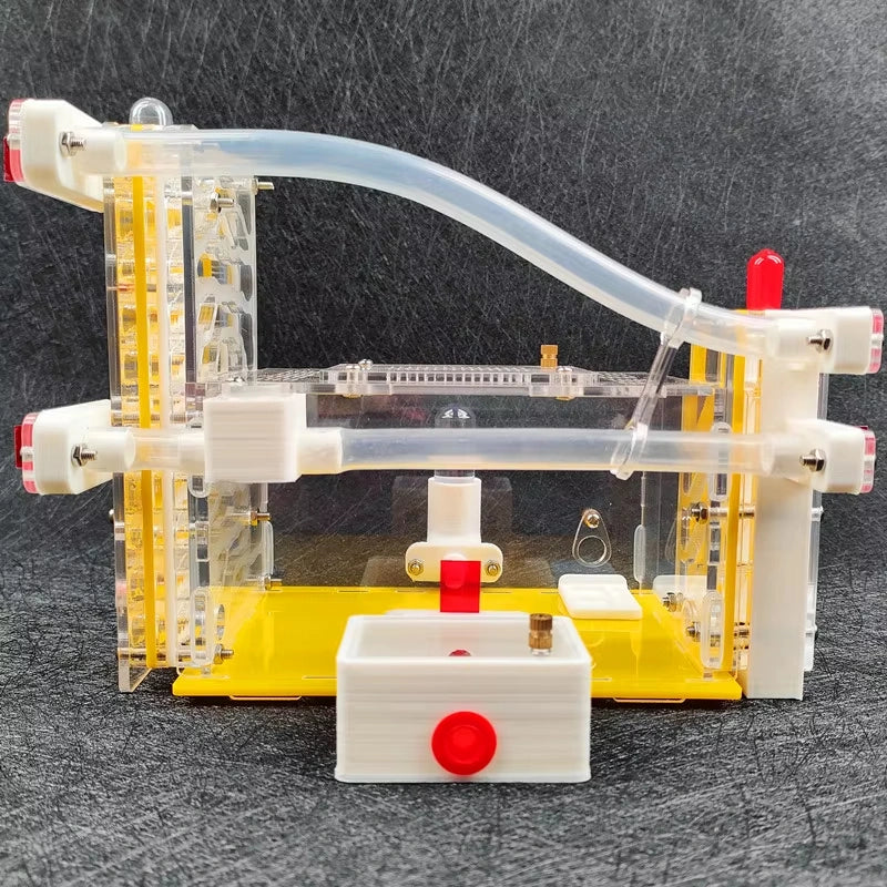T-Shaped DIY Acrylic Ant Farm with Feeding Area