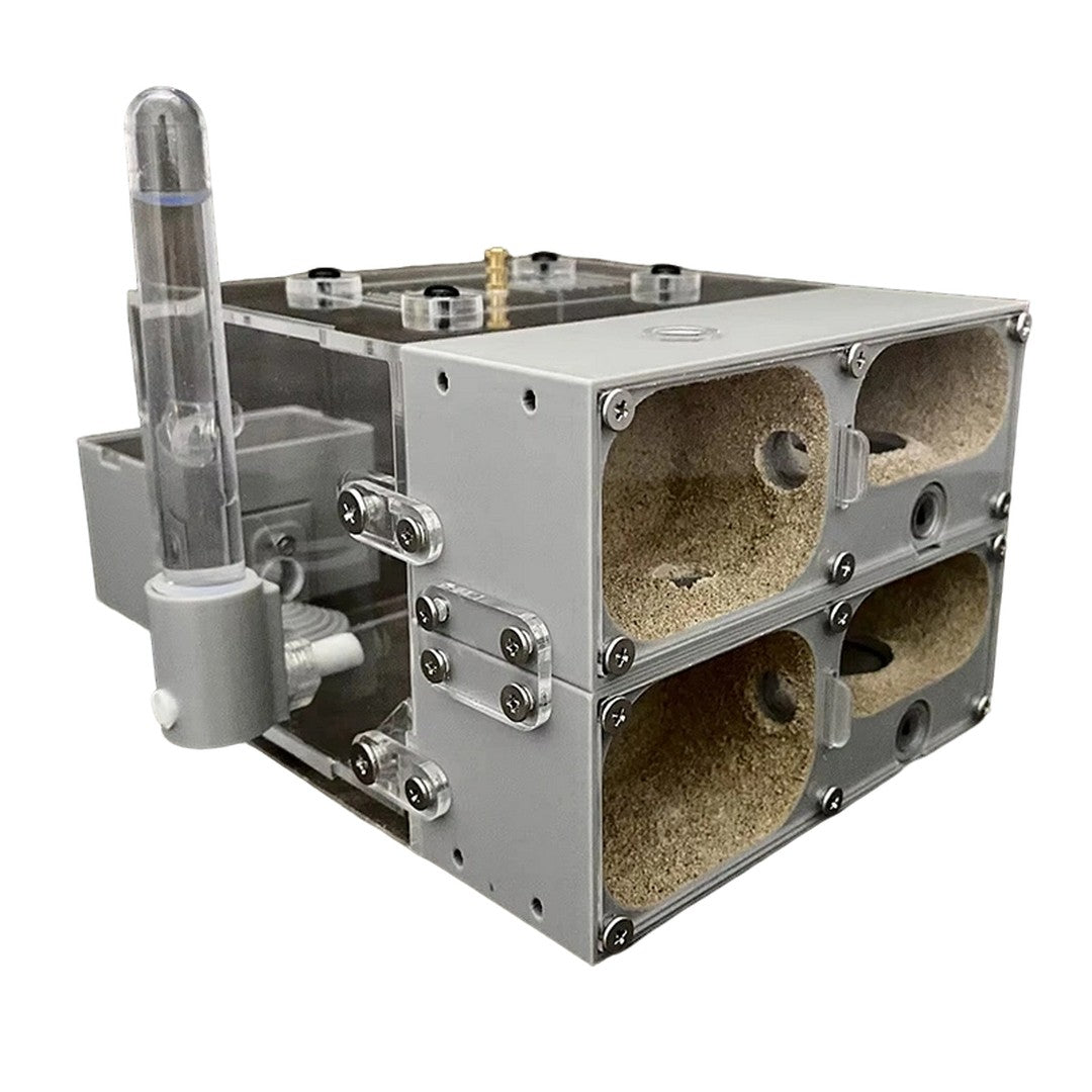 Ant Farm Nest for Ant Keeping