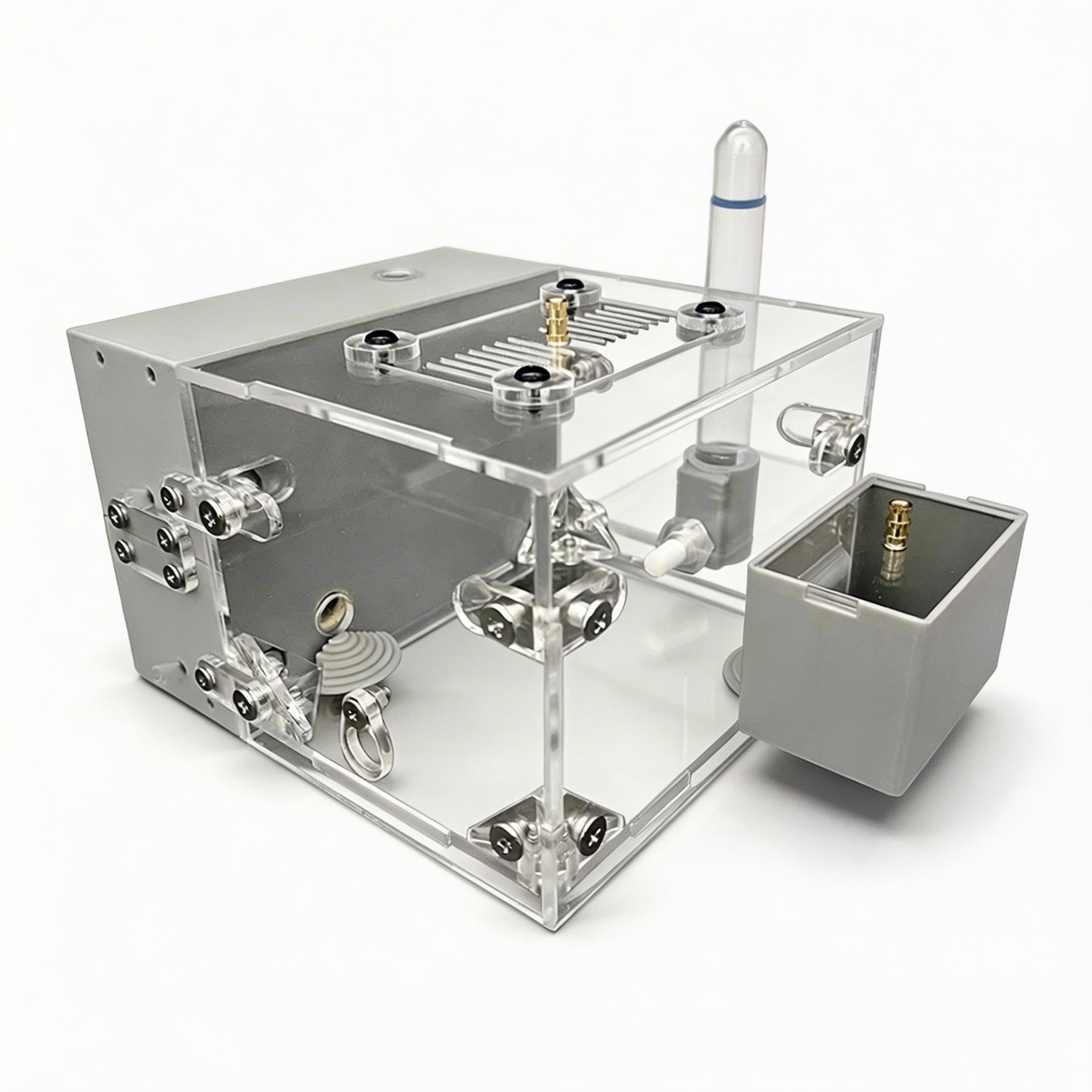 Ant Farm Nest for Ant Keeping